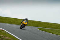 Advanced Group Yellow Bikes